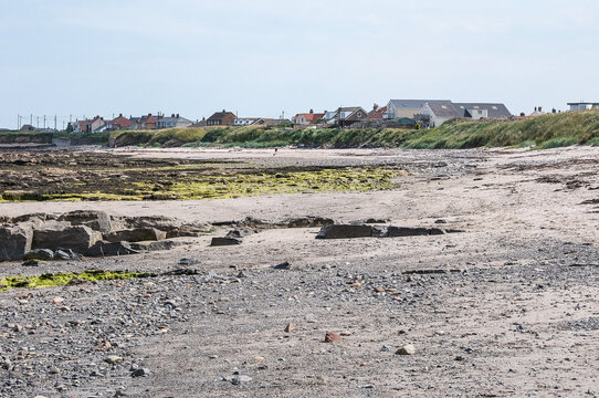 Beadnell on the Northumberland coast in summer sunshine