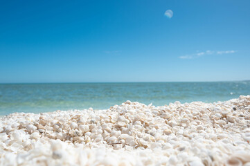 Seashell beach with turquoise water 