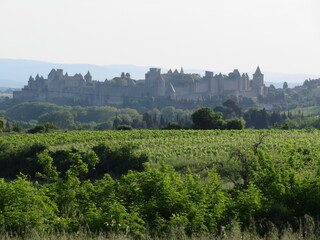 Naklejka premium beautiful city of France ancient medieval tourist wall protection