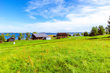 Green grass field and blue sky. Bright sunny summer day.