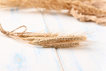 Close up wheat ears on white background.