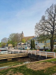 bridge in the park