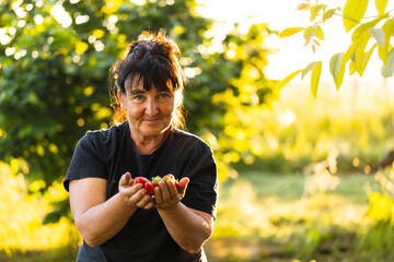 Portrait of a senior woman holding fresh ripe strawberries in her hands. Retirement, lifestyle.