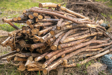 Winter preparation. Stacking Firewood. Pile of firewood loggs. Firewood background. Dry chopped firewood logs in a pile.