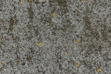 rough wall texture background collection. damaged dirty mossy wall surface in panorama. 3d textured background for interior, decoration, wallpaper, etc.