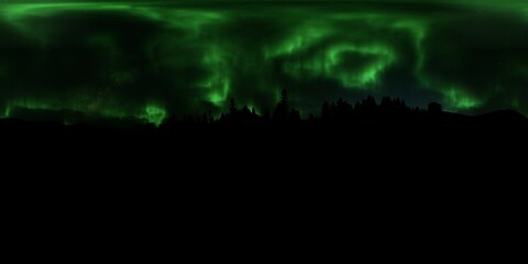 HDRI - Snow forest with Aurora Borealis on the sky 55 - Panorama