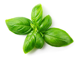 Basil isolated. Green basil leaf flat lay on white. Basil leaves top view. White background. Full depth of field.
