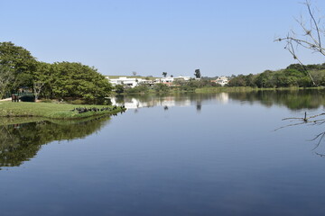 Obraz premium reflections in the water