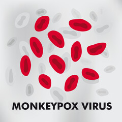 Monkeypox virus. A virus that is transmitted from animals to humans.