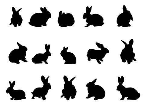 Rabbit vector. Rabbit Vectors and Illustrations. Vector Silhouette Rabbit. Rabbit vector images