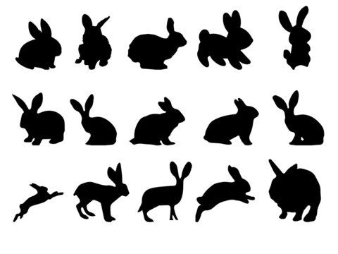 Rabbit vector images. Rabbit vector. Rabbit images. Vector Silhouette Rabbit. Silhouette Rabbit