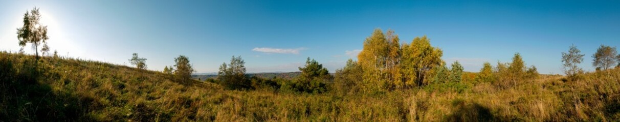 Panorama of autumn tree on a large lawn.