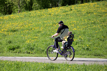 Fototapeta premium Man with kid girl on back seat riding on a bicycle in a green park. Father with daughter, family leisure in spring or summer