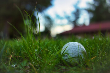 Golfball in Wiese - Golf ball in a selective focus shot on a green grass
