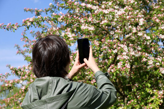 Girl photographs on smartphone camera apple flowers in spring garden