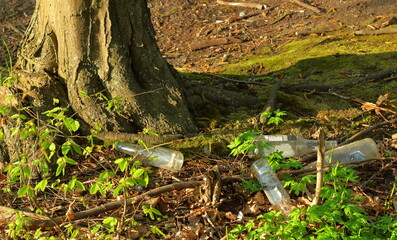 Discarded bulbs in the forest. Environmental littering
