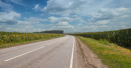 Country road ang sunflowers field