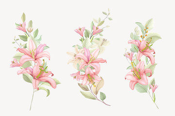 hand drawn lily bouquet background design
