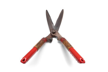 Grass scissors isolated on white