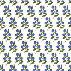Hand Drawn Vector Seamless Pattern with Blueberry