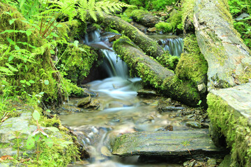 waterfall in the forest