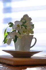 Flower decoration on home table. Little bunch of apple blossoms in white cup on dish on wooden desk on blurry background of window