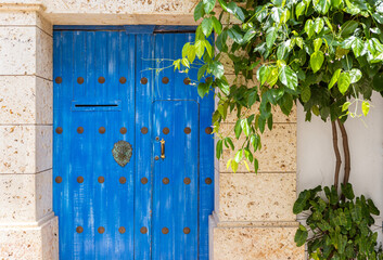 ancient door in a house in cartagena - obrazy, fototapety, plakaty