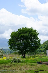 It is pretty warm today