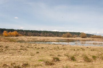 Grass, bushes, trees and a lake in the Billy Frank Jr. Nisqually National Wildlife Refuge area, WA, USA