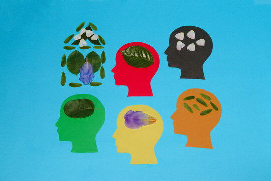5 colorful paper heads, different leaves and petals in each head, creative concept teamwork everyone gave their contribution to building a house, everyone gave what they know and have