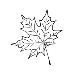 fall leaf clipart, black and white leaf drawing, vector clipart