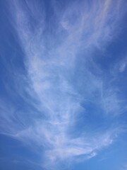 soft of cirrus cloud with blue sky