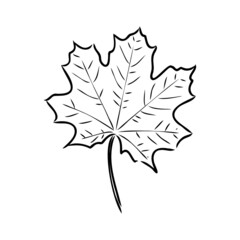 fall leaf clipart, black and white leaf drawing, vector clipart