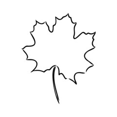 fall leaf clipart, black and white leaf drawing, vector clipart