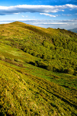 Obraz premium Spring mountain landscape. Bieszczady Mountains. Poland.