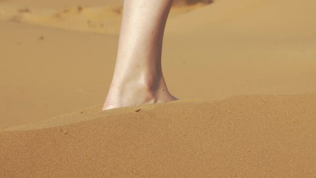Female legs go on sand in desert. Feet of girl step, are drowning in dune. Faceless young woman walks with effort through hot barkhan. Wanderer, traveler moving with difficulty, surviving in heat