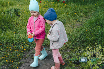 Children with a watering can go to fetch water to water seedlings. Girls helps family in vegetable garden. Gardening with children, farming and harvesting