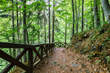 Fototapeta na wymiar Walking trail in the mountains with wooden handrails