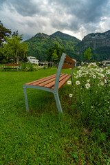 Fototapeta premium eine Parkbank auf einer Wiese mit vielen verschiedenen Blumen und Margeriten, an einem trüben Tag, mit Bäumen und Bergen im Hintergrund.