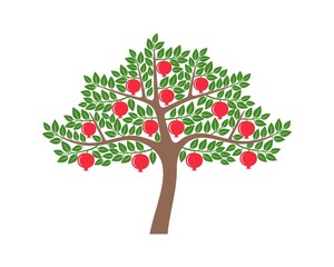 Pomegranate tree. Logo. Isolated pomegranate on white background