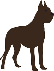 Black great dane dog stands in full growth