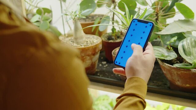 Flower delivery. Forist holding phone with chroma key. Greenhouse worker using smartphone app. Man botanist, small business owner. Gardener working in flower shop, plant store. 