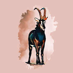 Watercolor sable antelope, Hand drew sable antelope