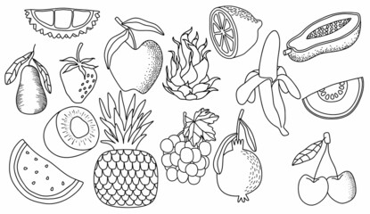 doodle hand drawn collection of fruits. vector illustration