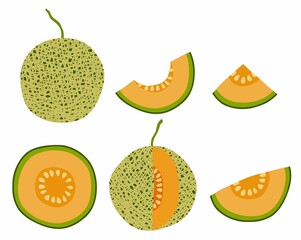Set of melon and sliced Melons. vector illustration
