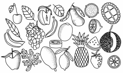 fruits, fruit, drawing, doodle, grapes, dragon fruit, pomegranate, watermelon, cherry, orange, lemon, kiwi apple, avocado, durian, pineapple, banana, strawberry, papaya, grape, apple, art, background,
