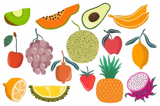  fresh fruit doodle vector set. vector illustration