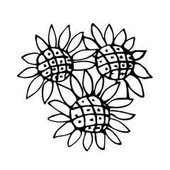 Naklejka premium Simple vector ink sketch. Composition of sunflowers. Summer bouquet.