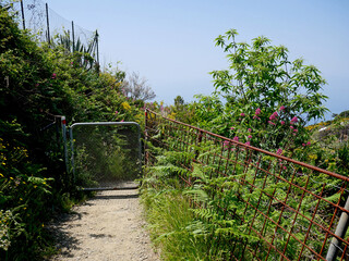 Metal gate and fence along a Cinque Terre trail in Liguria, Italy. 