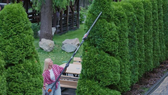 Beautiful woman in red plaid shirt using electric trimmer for cutting green hedge at backyard. Above view of pretty blond female taking care huge tuja with bush cutter outdoors. Concept of topiary. 